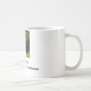 Tasse - Dominica