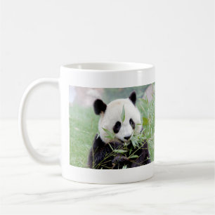 Tasse Foto Riesenpanda. Panda Geant.