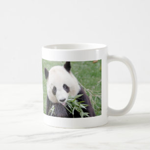 Tasse Foto Riesenpanda, Tiere 0267.