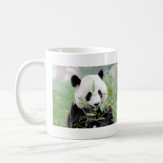 Tasse Foto riesigen Panda. Panda Geant.