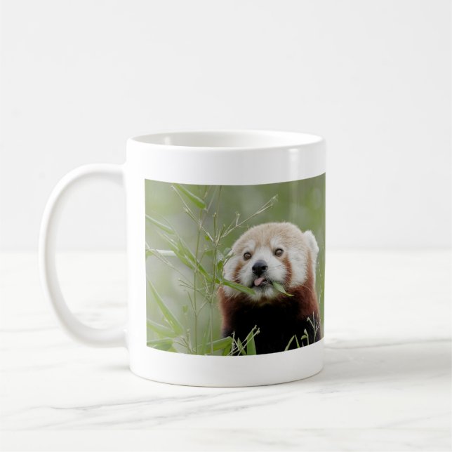 Tasse Foto roter Panda. Panda roux Tiere. (Links)