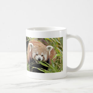 Tasse Foto roter Panda, Tiere 0397.