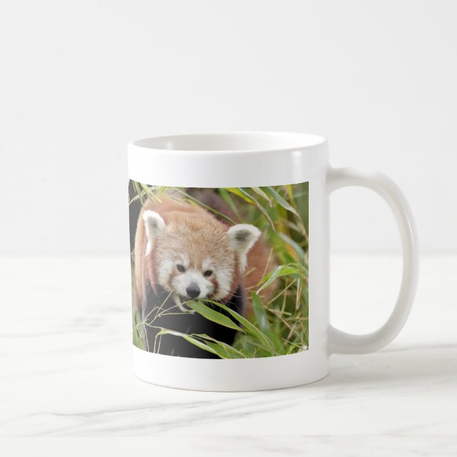 Tasse Foto roter Panda, Tiere 0397. (Rechts)