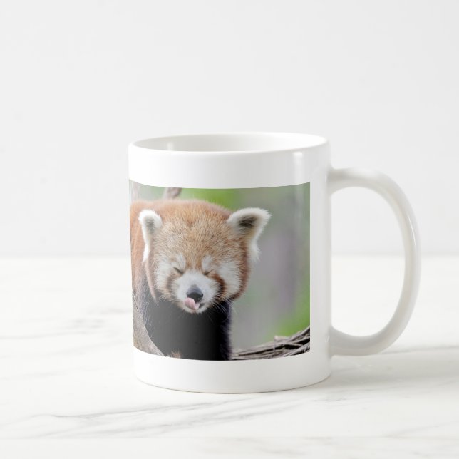 Tasse Foto roter Panda, Tiere 0399. (Rechts)