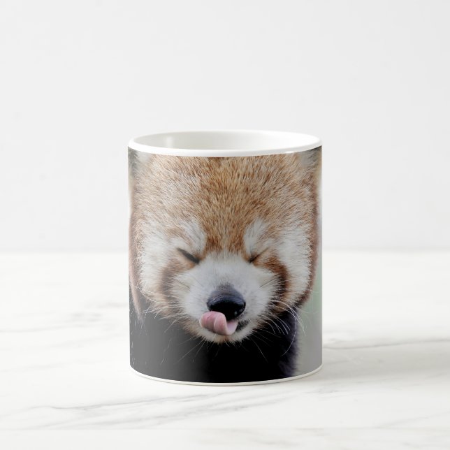 Tasse Foto roter Panda , Tiere . Tasse (Mittel)
