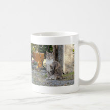 Tasse. Foto Straßenkatze, Katze, Tasse Kaffee