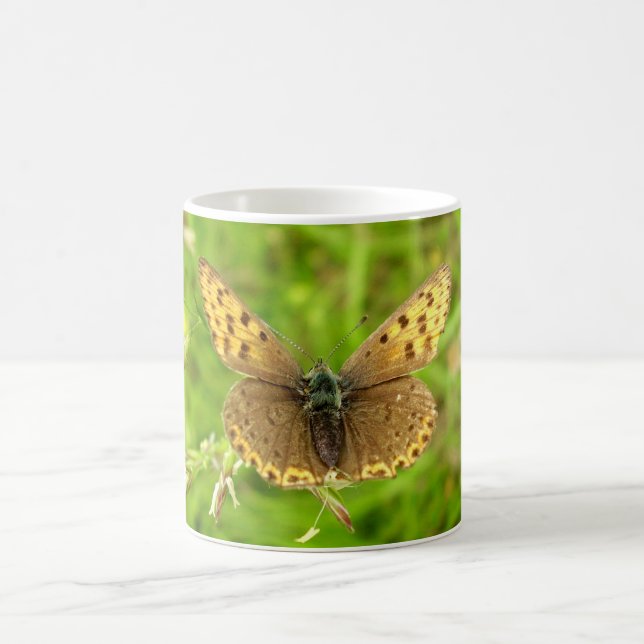 Tasse für lila Kupfer-Schmetterling-Bug (Mittel)