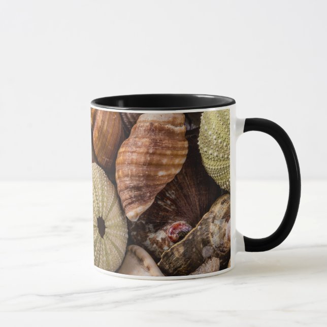 Tasse gemischte Muscheln (Rechts)