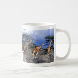 Tasse Giraffen Gruppe