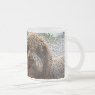 tasse givrée Avec photo de Lagotto-romagnolo