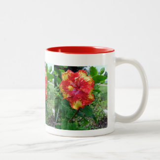 Tasse-Hawaiischer Prize Hibiskus Zweifarbige Tasse
