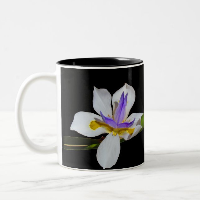 Tasse - Iris-Blume (Links)