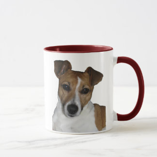 Tasse Jack Russell Terrier