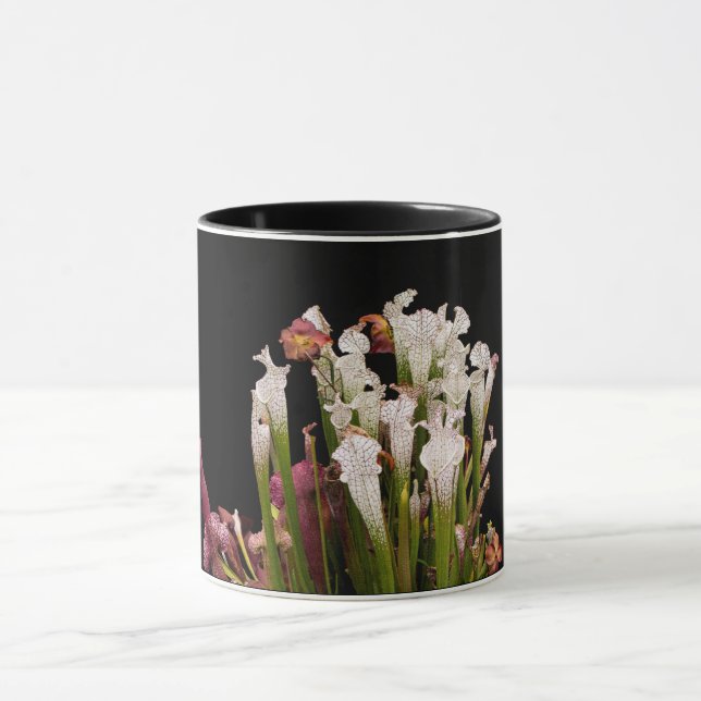 Tasse, Kaffee Tasse (Zentrum)