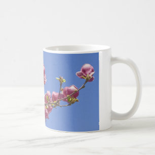 Tasse, Magnolien, Niederlassung der Blüten Kaffeetasse