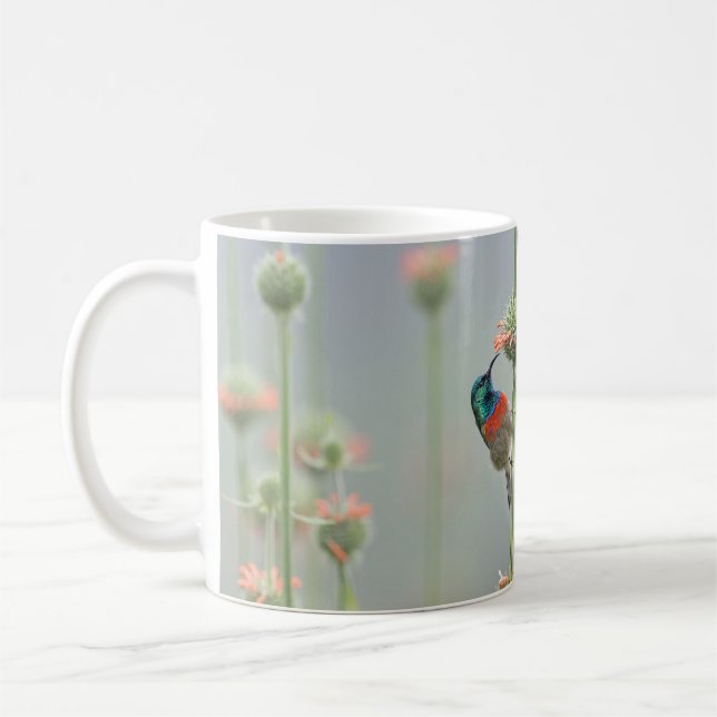 Tasse mit einer Fotografie eines sunbird (Links)