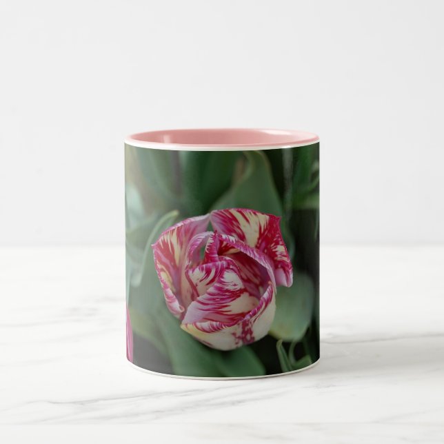Tasse mit einer Tulpe (Mittel)