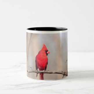 Tasse mit Foto eines männlichen nördlichen Kardina