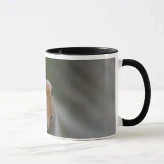 Tasse mit Gänsen…