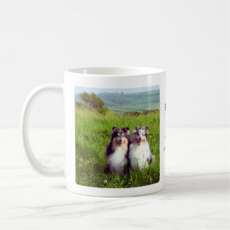 Tasse mit Shelties auf einer Wiese
