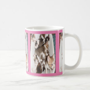 Tasse niedliche Kätzchen auf rosa Kulisse