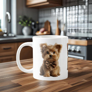 Tasse niedliche kleine Hunde