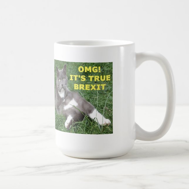 Tasse OMG ihren wahren Brexit (Rechts)