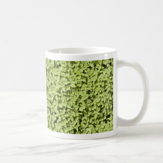 Tasse Oregano (Rechts)