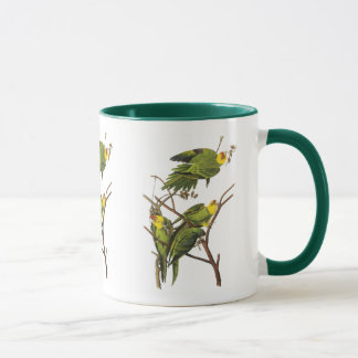 Tasse: Parakeet - von John Audubon Tasse