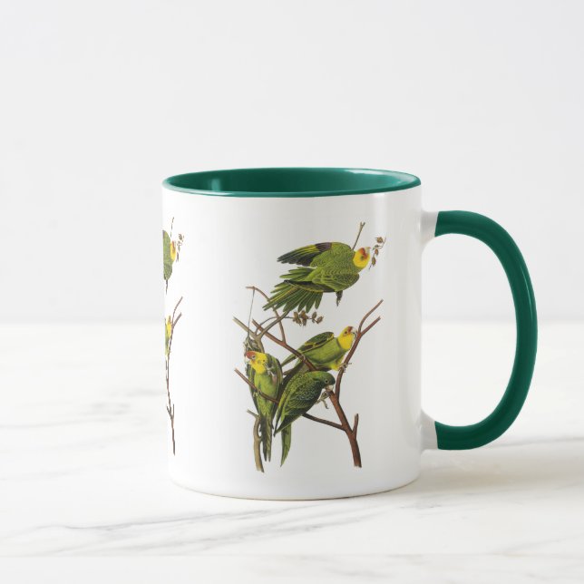 Tasse: Parakeet - von John Audubon Tasse (Rechts)