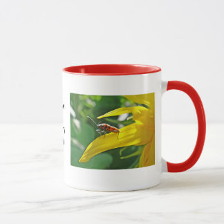 Tasse Roter Käfer auf Sonnenblumen