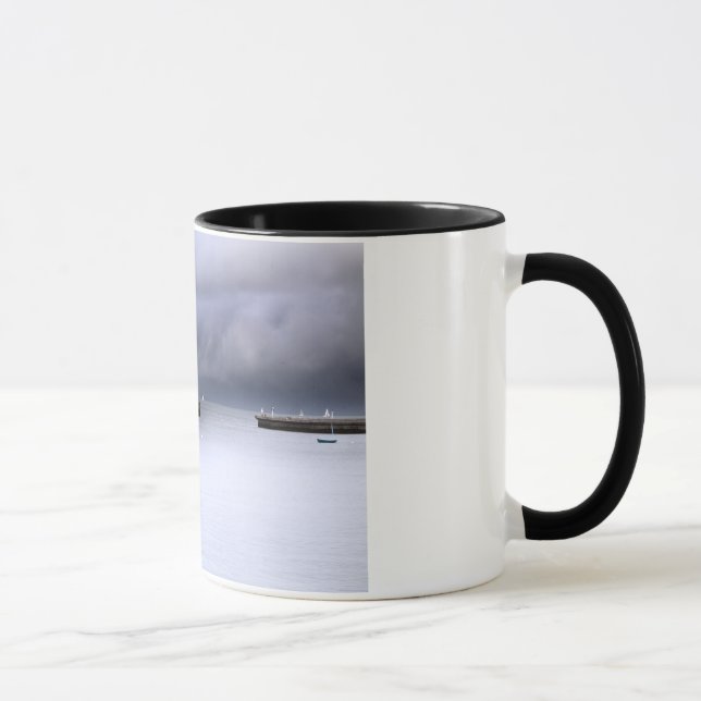 Tasse San Francisco Bay (Rechts)