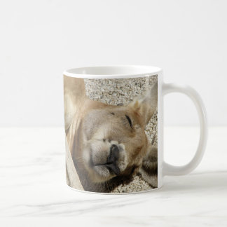 Tasse Schlafendes Känguru