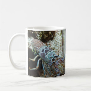 Tasse Starfish and Friends