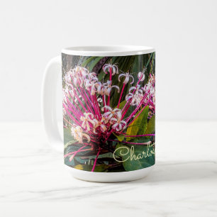 Tasse von Clerodendrum Sternexplosion