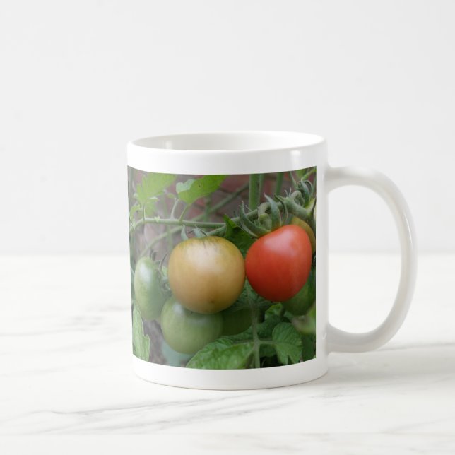 Tasse von Leichttomaten (Rechts)