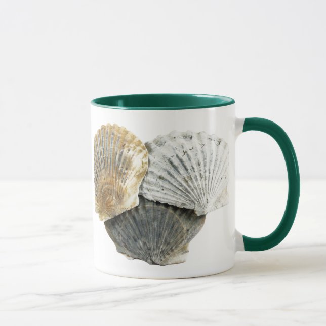 Tasse von Muscheln (Rechts)