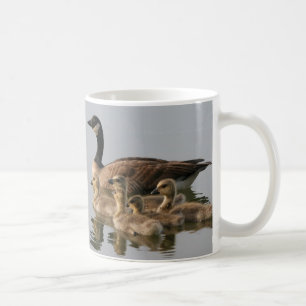 Tasse/wenig Kanada-Gans-Brut Kaffeetasse