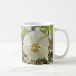 Tasse zur Blume des Weißfrühlings