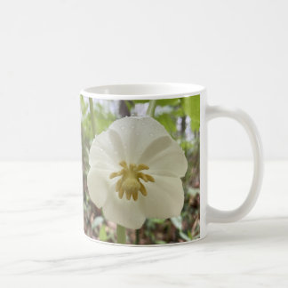 Tasse zur Blume des Weißfrühlings