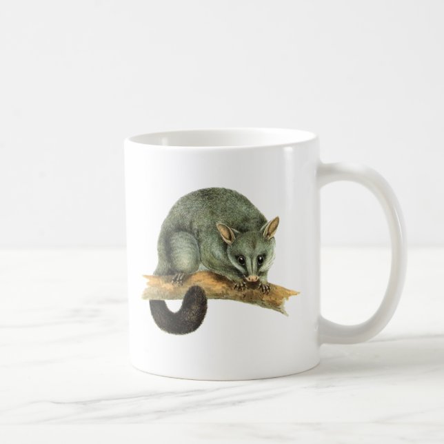 Tassen - cooroy Opossum (Rechts)