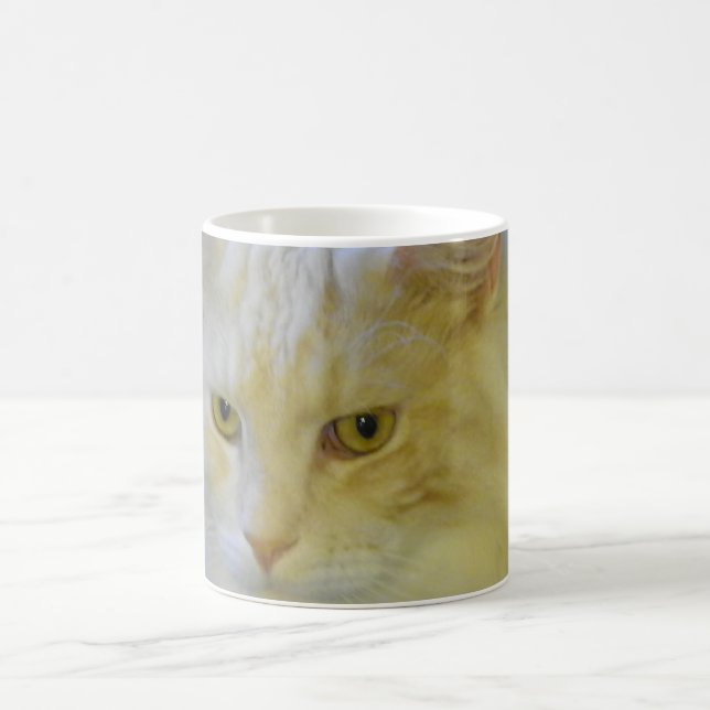 Tassen-Kaffee-Haustier-Maine-Waschbär-Katze Kaffeetasse (Mittel)