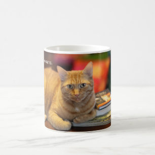 Tassen-Orangen-Katze Tasse