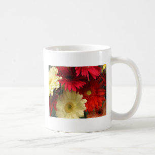 Tassen-, Rote und Gelblicheafrikanische Tasse