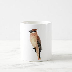 Tassen-ZederWaxwing Tasse