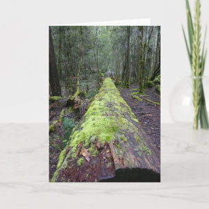 Tassie Tree Karte