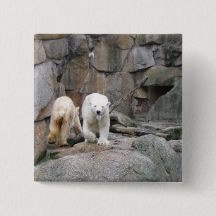 Taste "POLAR BEAR" Button