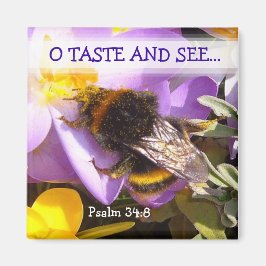 TASTE & SEHEN! ~ Magnet