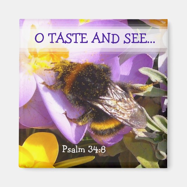 TASTE & SEHEN! ~ Magnet (Vorne)