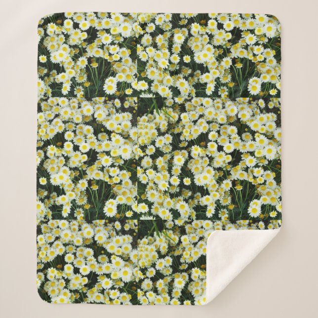 Tasten der Gelben Dainty Daisy-Blume, Sherpadecke (Vorderseite)